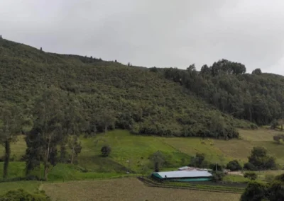 CAR – Masbosques
