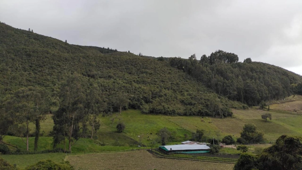 CAR – Masbosques