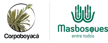 banco2 aliado proyecto CORNARE carbono neutro en antioquia