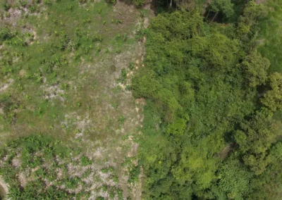 Conservación y restauración para fortalecer los servicios ecosistémicos de Risaralda